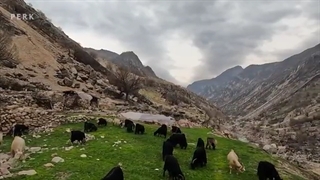 زندگی آرامش بخش کوچ نشینان در زاستار