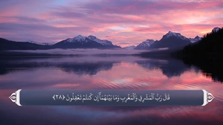 26_سوره شعراء_ترجمه گویا