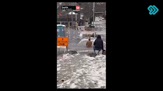 سرسره بازی در سیاتل.  #باغ_آمریکا   