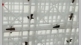 نحوه بستن قالب های پلاستیکی (قالب پلیمری بتن)آرکا در دیوار