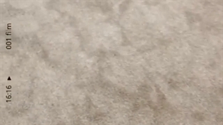 موکت رویال ظریف مصور در گامان تزیین جاوید