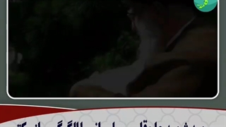 امیرالمؤمنین علیه‌السلام الگوی فرمانده مظلوم و مقتدری مثل حاج قاسم