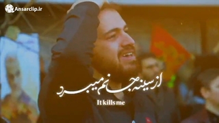 نماهنگ | آرام جانم می رود ...