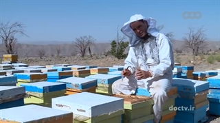 مستند کارستان - قسمت 5