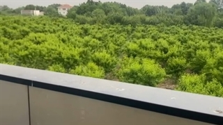 خرید ویلا در کردان کرج