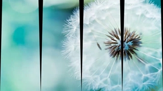 دوستان انیمه کم آوردم هرچی انیمه تازه وکهنه دارین معرفی کنید من باید چندتا انیمه ببینم