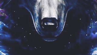 گرگ خیلی دوست دارم  هرکس گرگ دوست داره لایک کنه دوست نداری نکنا