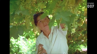 مستند جاده ابریشم با کیفیت بالا قسمت ۸