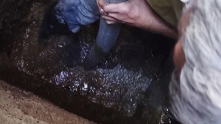 تخلیه چاه در استان تهران 09198806367