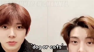 enhypn just being fruity