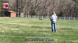 ماشین آرسی 71 سی سی | ماشین کنترلی