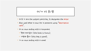 Noun particle 이_가,을,를گرامر 10