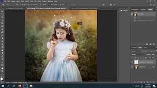 تاج گل لایه باز