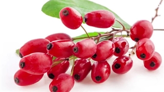 اثرات حیرت انگیز دمنوش زرشک