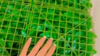 نصب شده دیوار سبز مصنوعی طرح پرتقالی