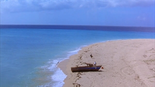 زیبایی در ((رستگاری در شاوشنگ))