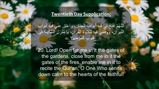 Daily Prayers During Ramadan Day (20) | دعای مخصوص ماه رمضان روز (20)