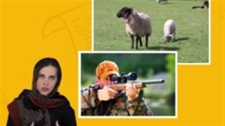 وکیل محیط زیست