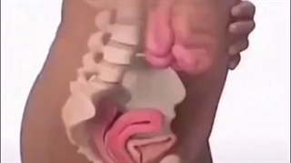 بارداری هفته به هفته