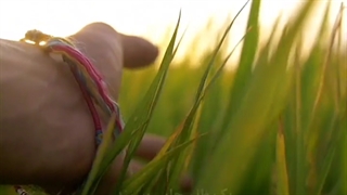 امام زمان(عج)،امام مهدی، ترک گناه=دعا برای ظهور،مذهبی،آخرالزمان نشر آزاد