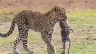 روز مادر مبارک