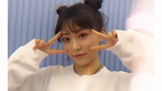 اطلاعاتی درباره عضو بیبی مانستر