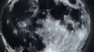 We are so lonely ❤️‍