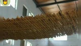 خرید دارچین