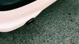 منبع ۸۱۱ AMG بدون کاتالیزور