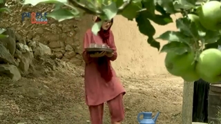 سریال عروس فراری (قسمت اول - زورگیری) | Serial Aros Farari Part 1