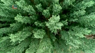 سریال عروس فراری ( قسمت دوم - جنجال نوبت آب ) | Serial Aros Farari Part 2