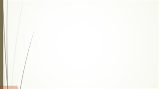 Seven Star residential immigration complex