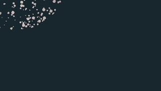 گروه مهاجرتی بین المللی سون استار