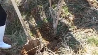 آموزش عملیات های باغداری در فصل خزان