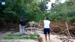 کشف نهنگ گوژپشت وسط جنگل آمازون
