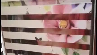 پرده تصویری