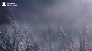 Lovely از Billie Eilish