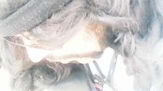 آهنگ عاشقانه