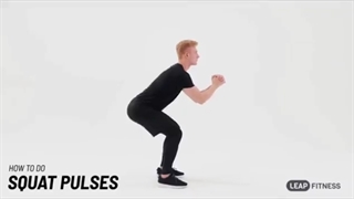 SQUAT PULSES Exercise