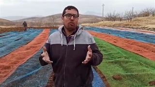 راهکار جلوگیری از حمله پرندگان به بذر نهال