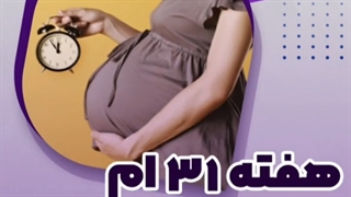 هفته 31 بارداری