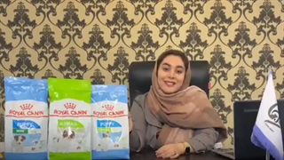 غذای سگ رویال کنین برای نژادهای خیلی کوچک