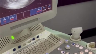 حیوان آزاری،رها کردن حیوان خانگی،حقشون نیست تا مریض میشن رها بشن