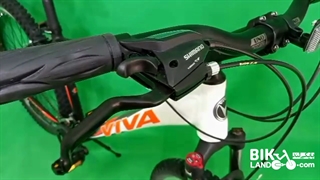 دوچرخه ویوا مدل سناتور Senator سایز ۲۷٫۵