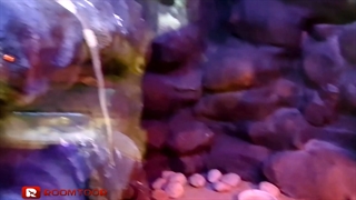 باغ خزندگان اصفهان | روم تور