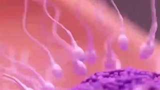 عظمت خداوند