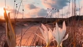 #استوری_طوری