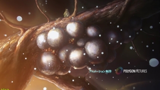 انیمه Ooyukiumi no Kaina قسمت ۳ با زیرنویس چسبیده