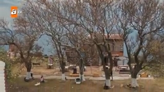 سریال پرندگان آتش Ateş Kuşları