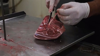 استاد قصاب - 2